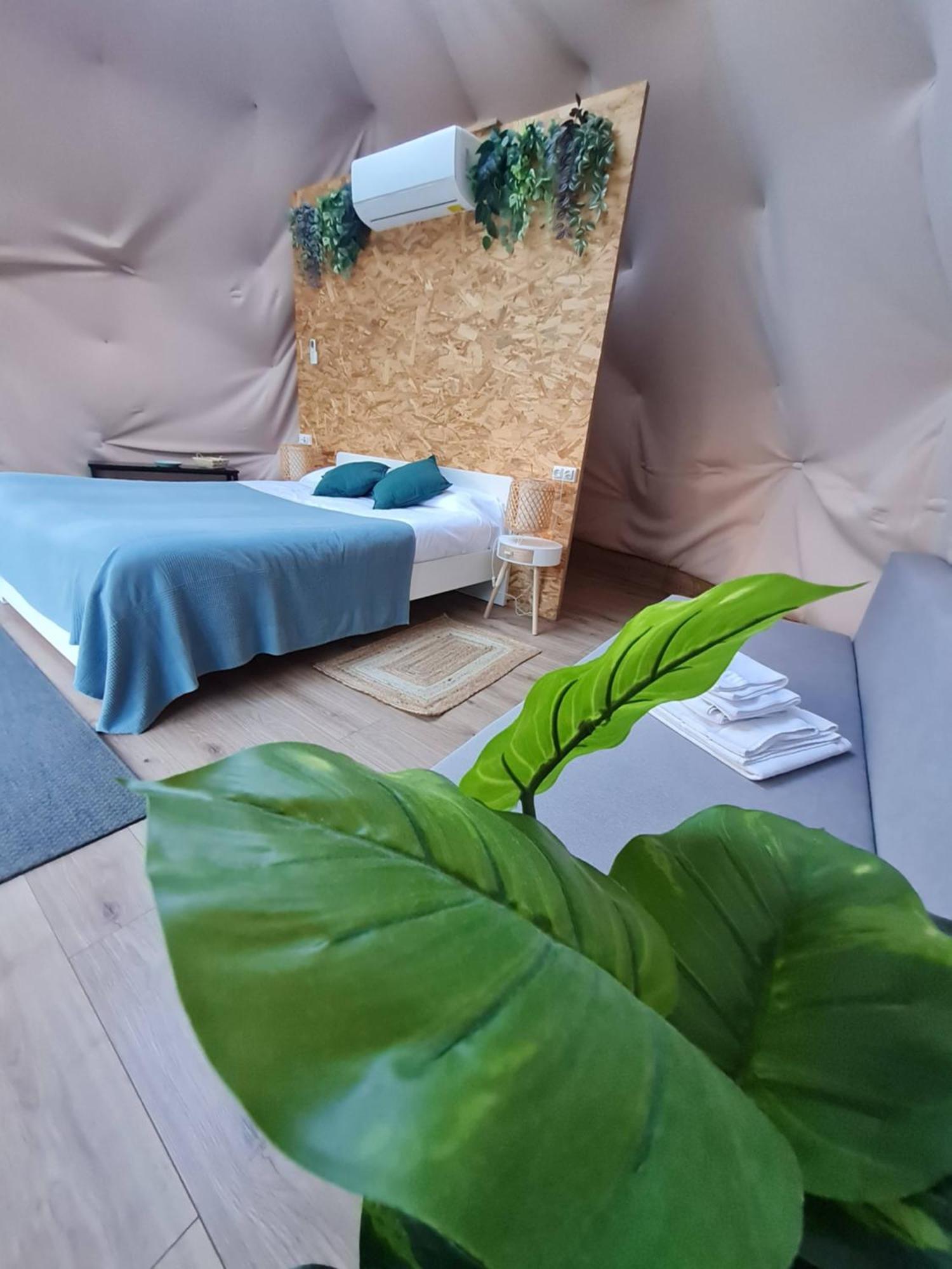 Glamping Canon Del Rio Lobos Ucero Ngoại thất bức ảnh
